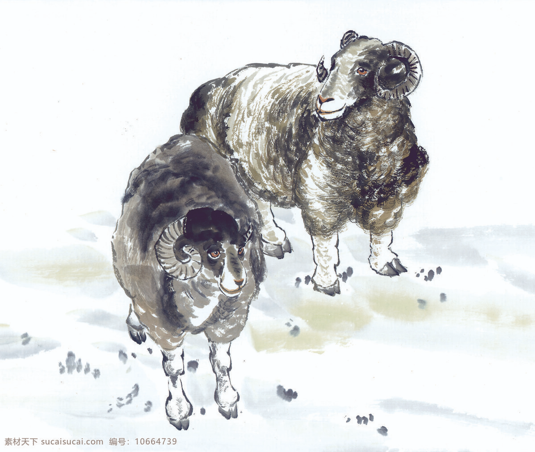 2026 Sheep Horoscope: Why You Are the Universe's Favorite Child This Year